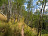 The Mill Creek Waterline Trail contours nicely along the mountainside.