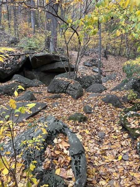 Rocky terrain.