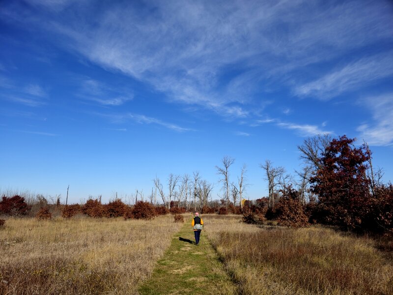 On the northeast end of the loop.