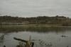 There are nice views of the French Broad River, bridge, and surrounding hills from the trail.