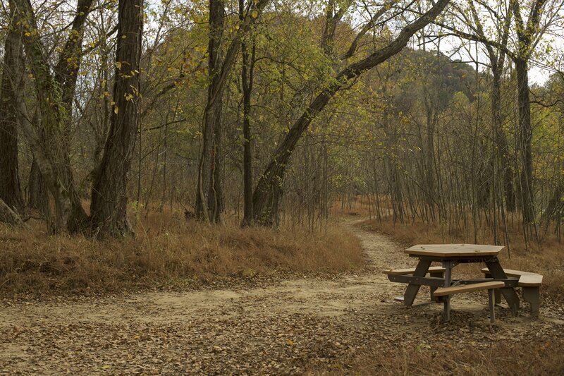 When you get to the island, there is a picnic table where you can enjoy a snack while others play along the river side.