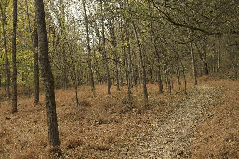 The Seven Island Loop Trail passes through the woods, providing shade during the heat of the day.