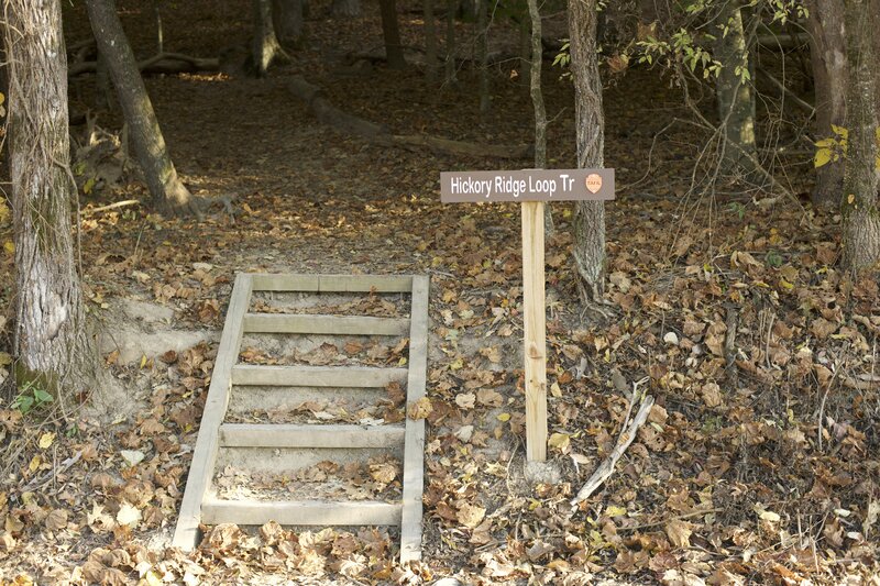 The trail crosses the road and climbs a short set of stairs as it enters the woods.