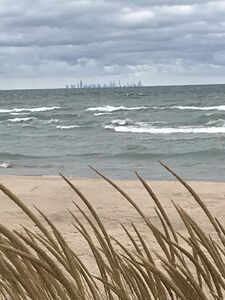 Chicago skyline from the beach.