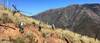 Savage-Lundy Trail with Brown Mountain in the background, with trail crew walking to worksite.