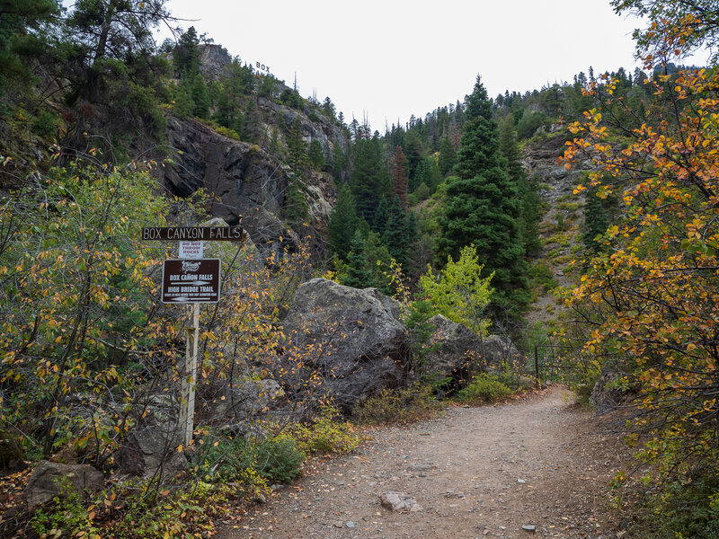 The start of the trail to the waterfall.