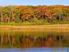 Fall colors illuminate Pond "C"