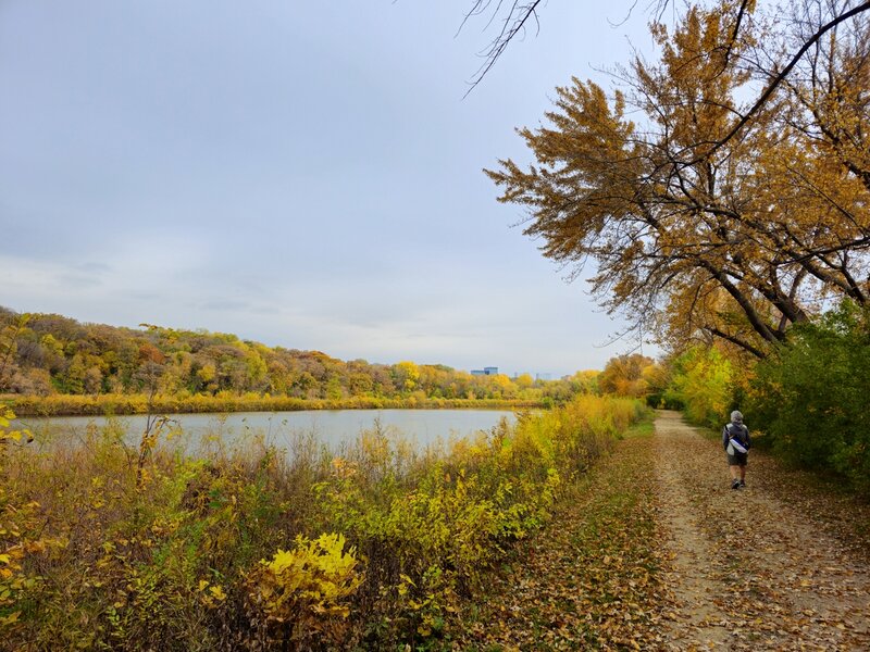 On the trail along the east side of Hogback Pond.