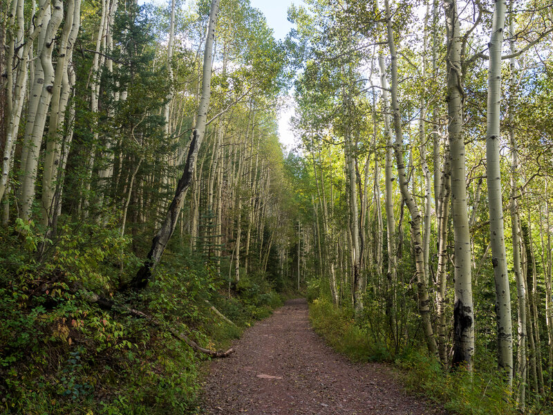 Starting out on the popular and smooth Bear Creek Trail.