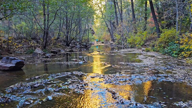 West Fork Trail