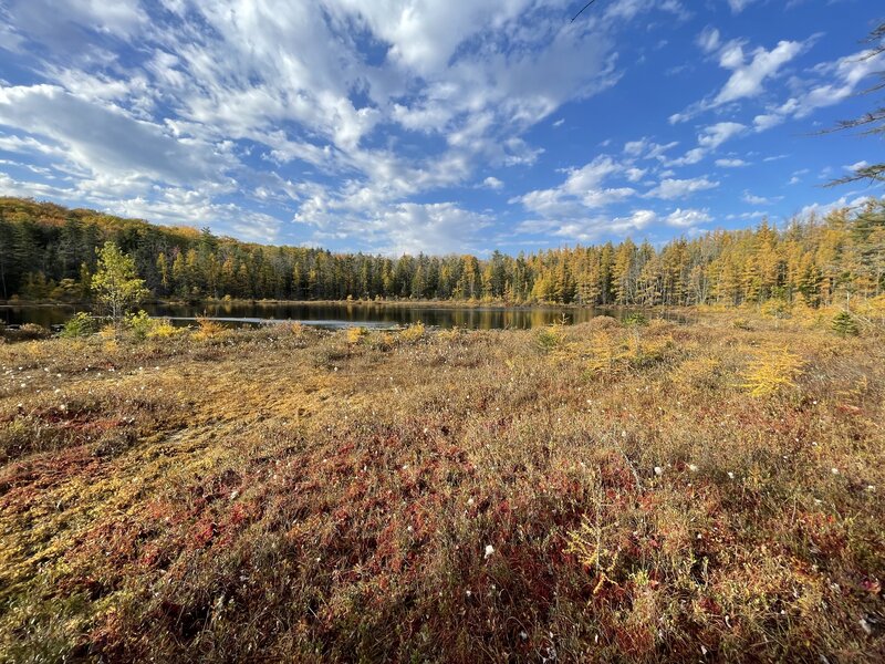 Mud Lake