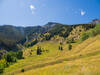 A gorgeous high mountain meadow.