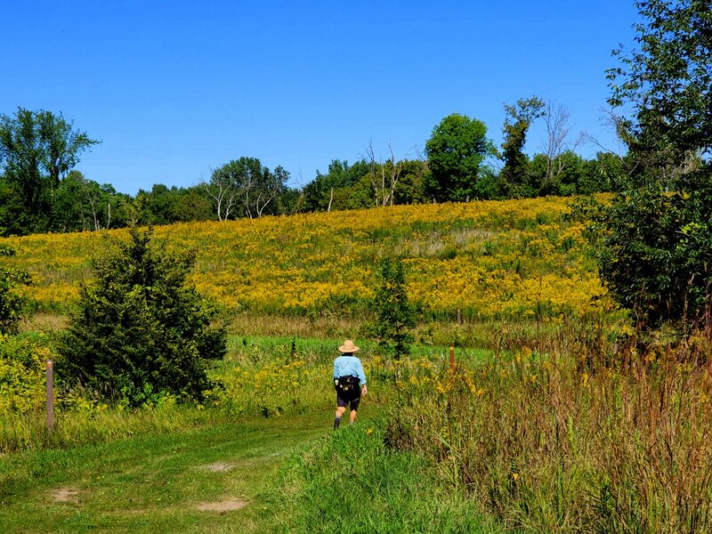 On the hiker/horse trail in mid-summer.