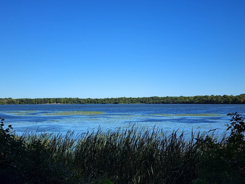 South end of Lake Rebecca.