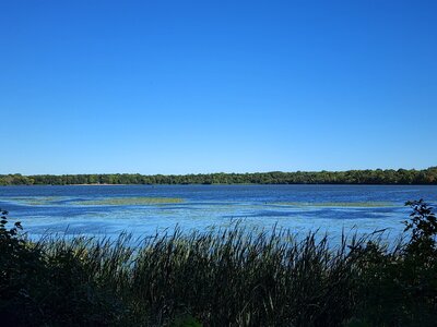 South end of Lake Rebecca.