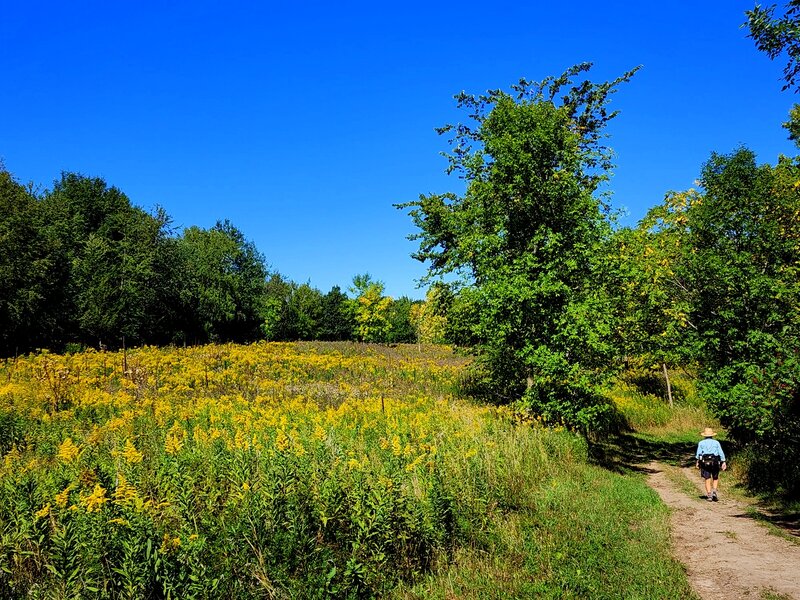 Going north on the east side of the park.