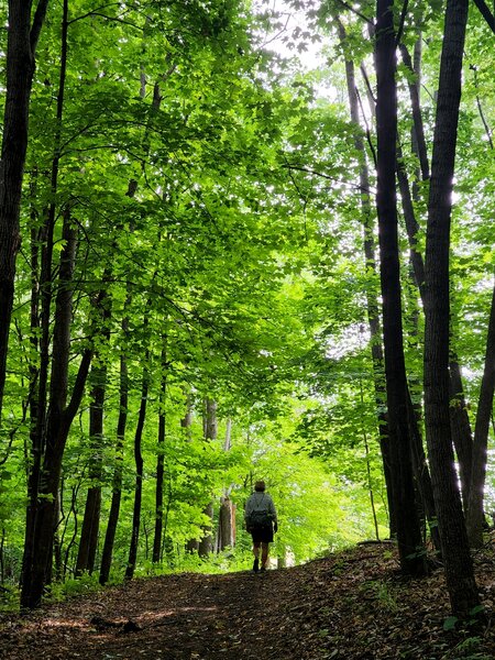 Going north on the unpaved trail