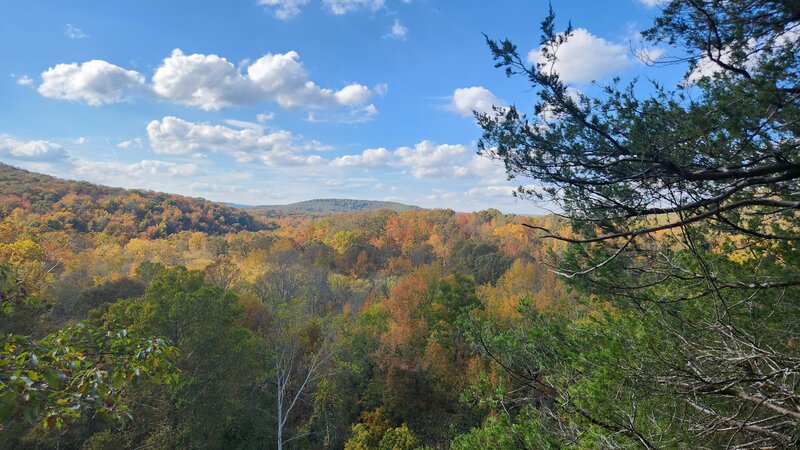 Near the Pruitt trailhead.