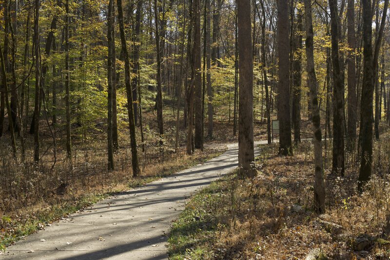 The ADA accessible concrete trail meanders through the forest.