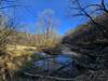 Seven Mile Creek from Trail 8 in late fall.