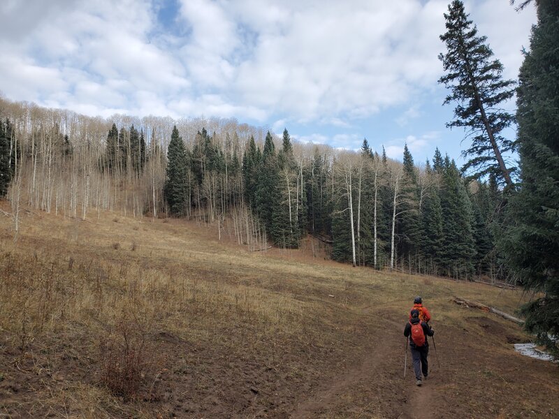 One of the meadows along the upper section of the Goulding Creek trail in mid-November.