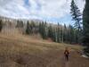 One of the meadows along the upper section of the Goulding Creek trail in mid-November.