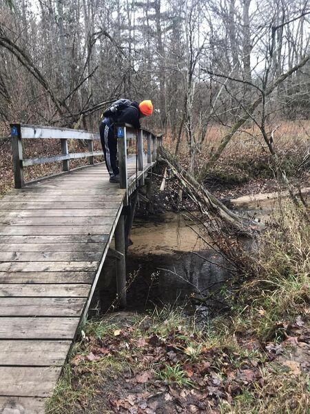 Bridge over the trail namesake Silver Creek.