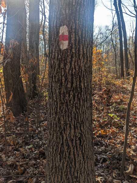 Mill Creek Trail Marker Example