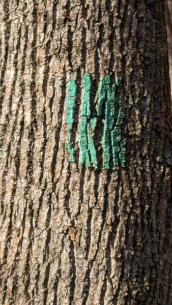 Lenape Trail Marker Example