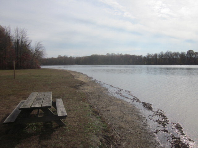 Western shore picnic area.