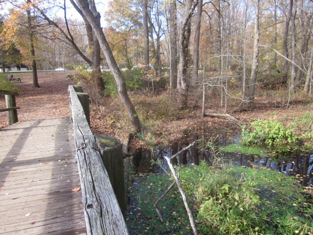 Footbridge at Lum's Pond Swamp Forest Trail