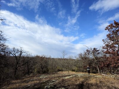 An opening in the canopy along the Quarry Trail.
