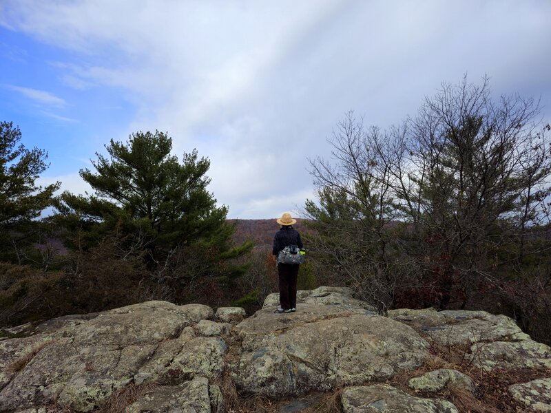 Looking toward Minnesota from the top of Eagle Peak.