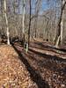 This photo is a good example of what the Valley Overlook Trail looks like in November.  Under the leaves, it's rocky most of the trail. Trail was well marked.