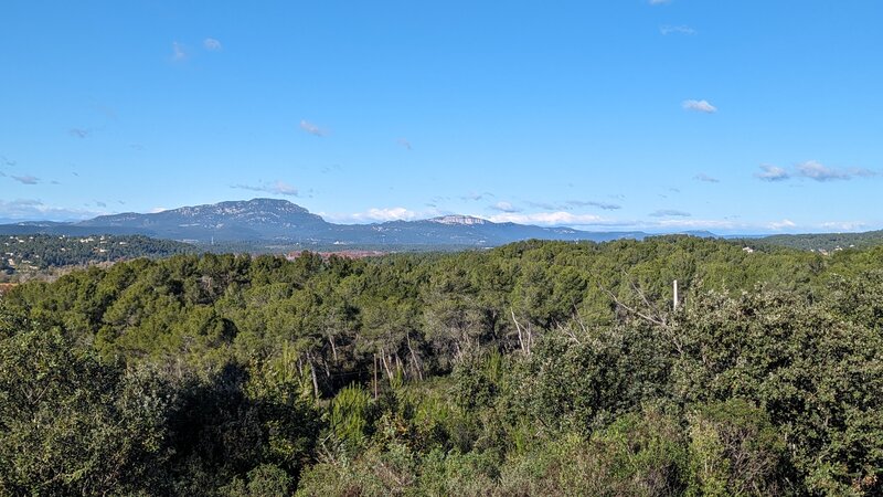 Baillarguet Forest