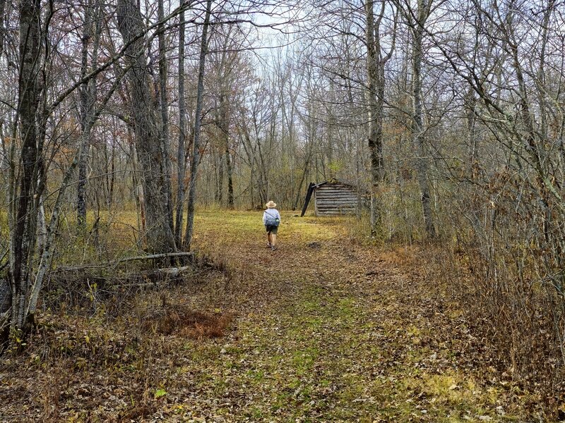 Approaching the trail shelter at the junction with the Sunrise Loop Trail.