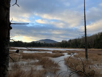 View of Papoose Pond, on a chilly winter's day.