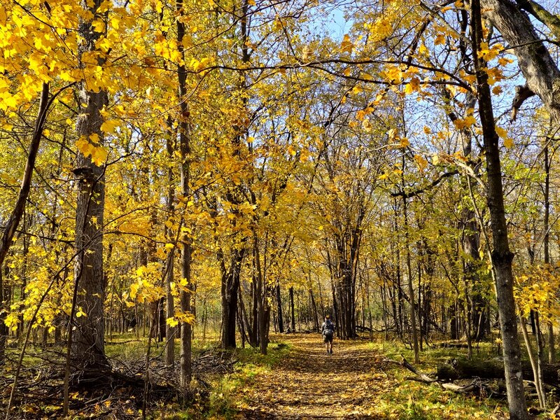 On the Rabbit Trail during fall colors.