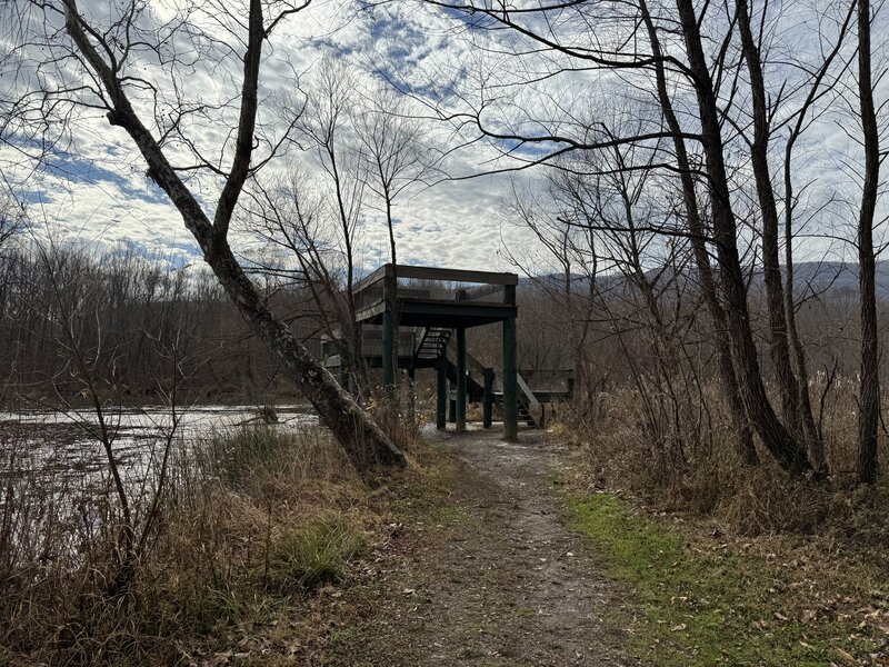 The observation platform along the lake provides nice views, especially for bird watching.