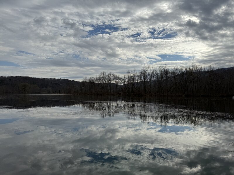 Nice views of Cove Lake can be seen along the paved path.