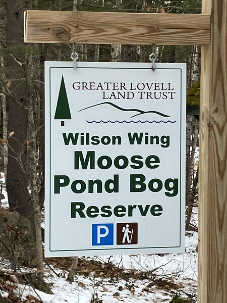 Wilson Wing Moose Pond Bog Reserve