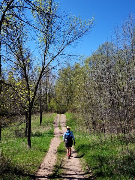 Going south on the Anderson Hill Loop Trail