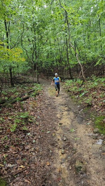 Greenbrier State Park MD