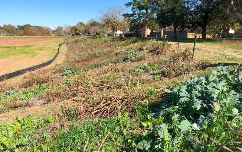 The Basin K Plot is an experimental slope vegetation station.