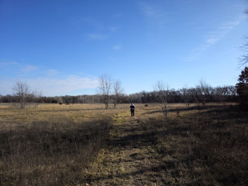 Skirting an open area of old farm land.