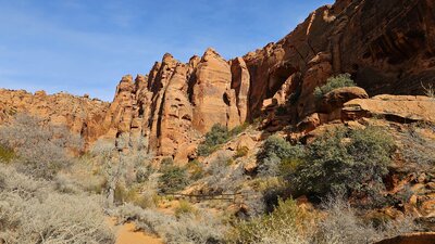 Johnson Arch in Johnson Canyon