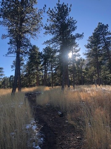 Enchanted Mesa