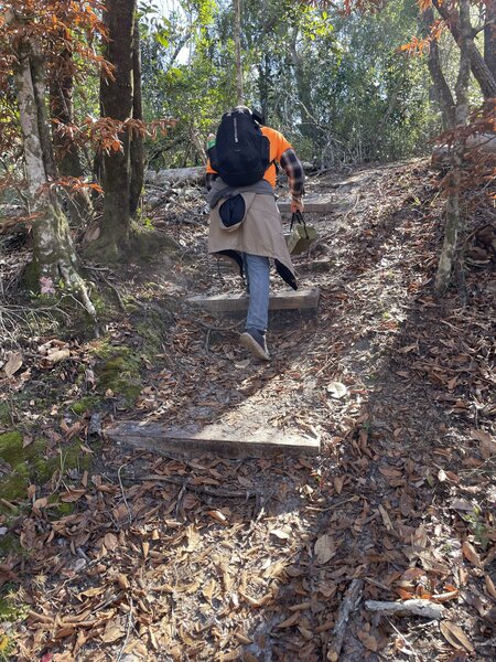 Beautiful steps along the Fl Trail Scott's Rd.