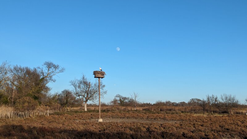 Sentier des Frenes et de la Cigogne blanche.