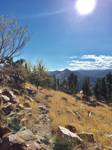 Hogback Ridge…west side